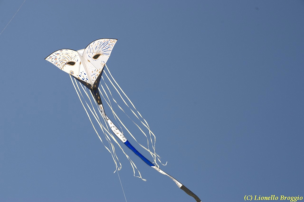 32 FESTIVAL CERVIA 2012 - 246.jpg